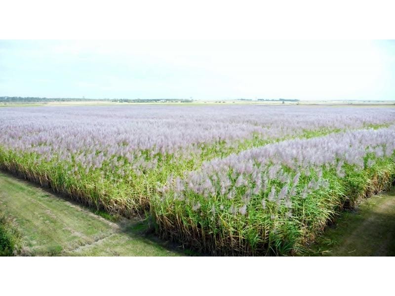 Moore Park Beach QLD 4670