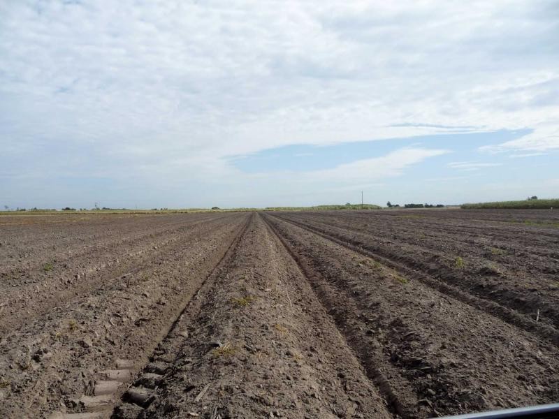 Moore Park Beach QLD 4670