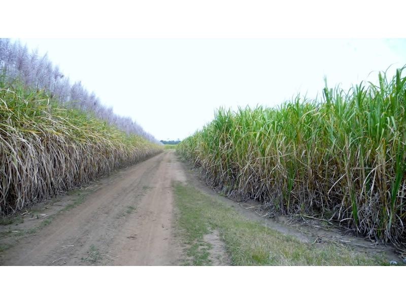 Moore Park Beach QLD 4670