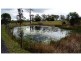 Elliott QLD 4670