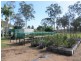 263 Dickson Road, Yandaran QLD 4673