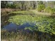 263 Dickson Road, Yandaran QLD 4673