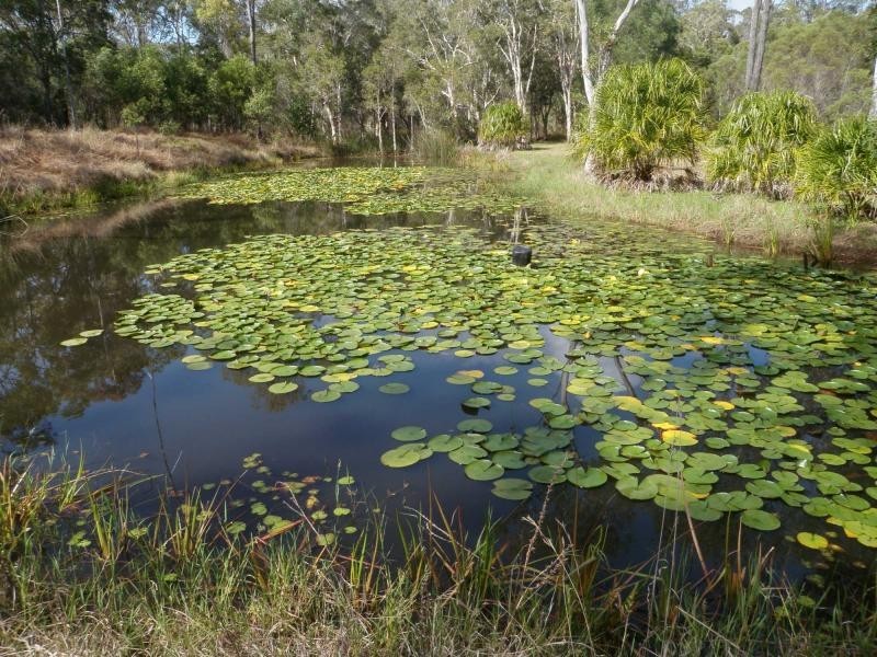 263 Dickson Road, Yandaran QLD 4673