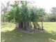 263 Dickson Road, Yandaran QLD 4673