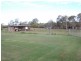 Sharon QLD 4670
