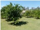 Avondale QLD 4670