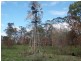 Moolboolaman QLD 4671