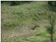Moolboolaman QLD 4671