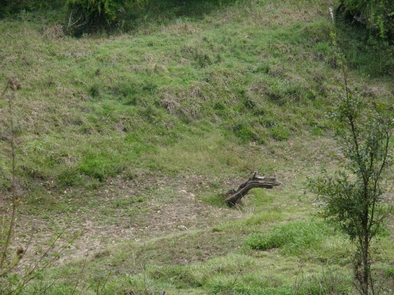 Moolboolaman QLD 4671