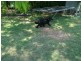 Gooburrum QLD 4670