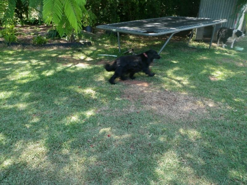 Gooburrum QLD 4670