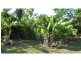 534 GIN GIN ROAD, OAKWOOD, Oakwood QLD 4670