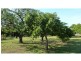 534 GIN GIN ROAD, OAKWOOD, Oakwood QLD 4670