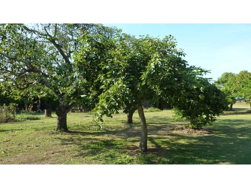 534 GIN GIN ROAD, OAKWOOD, Oakwood QLD 4670