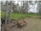Delan QLD 4671