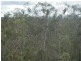 Delan QLD 4671