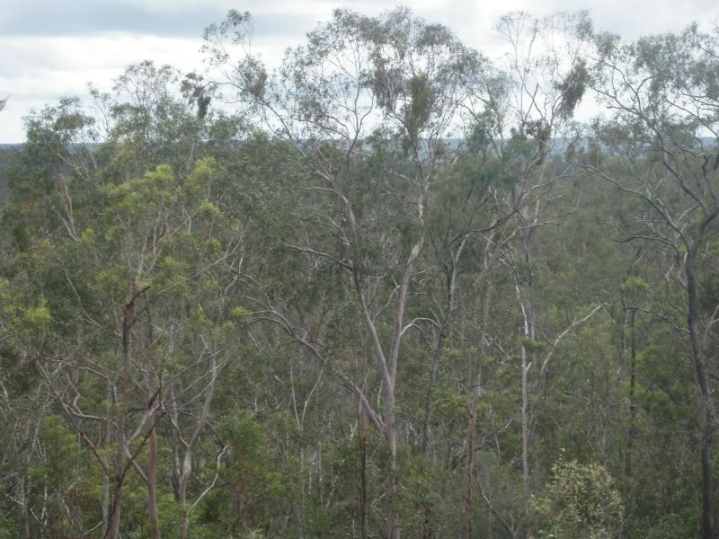 Delan QLD 4671