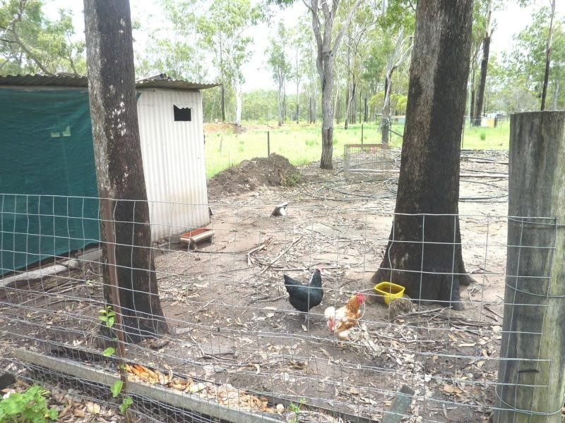 1 HONEYFLOWER COURT, Bucca QLD 4670