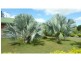 Branyan QLD 4670