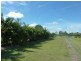 321 Drinan River, Drinan QLD 4671