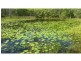 Rosedale QLD 4674