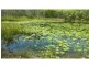 Rosedale QLD 4674