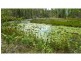 Rosedale QLD 4674
