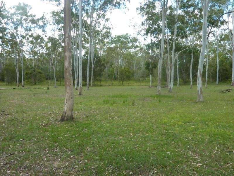 102 Platypus Drive, South Kolan QLD 4670