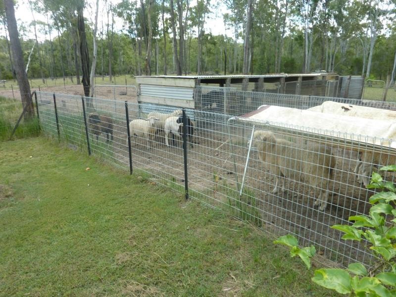 102 Platypus Drive, South Kolan QLD 4670