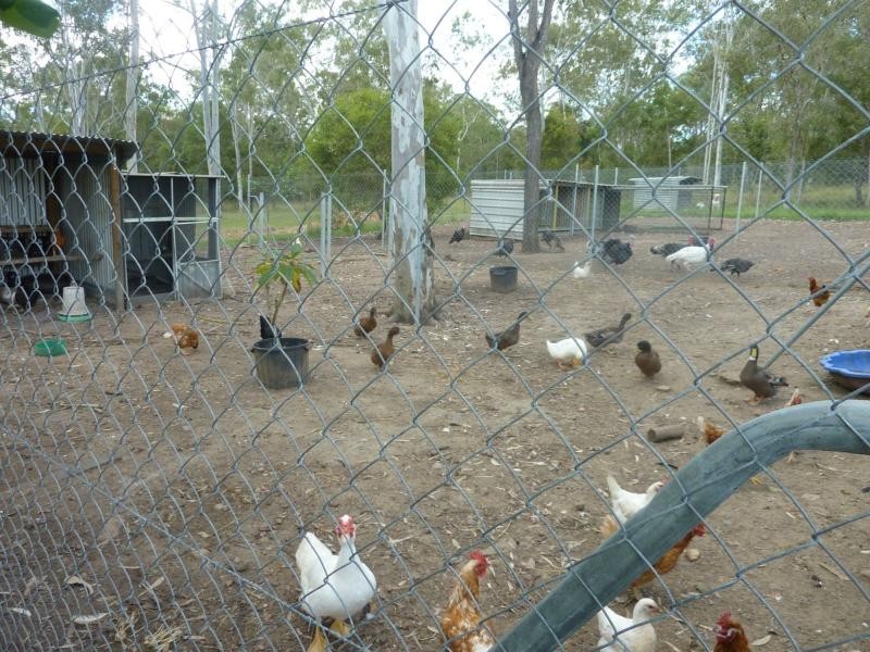 102 Platypus Drive, South Kolan QLD 4670