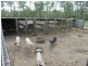 102 Platypus Drive, South Kolan QLD 4670