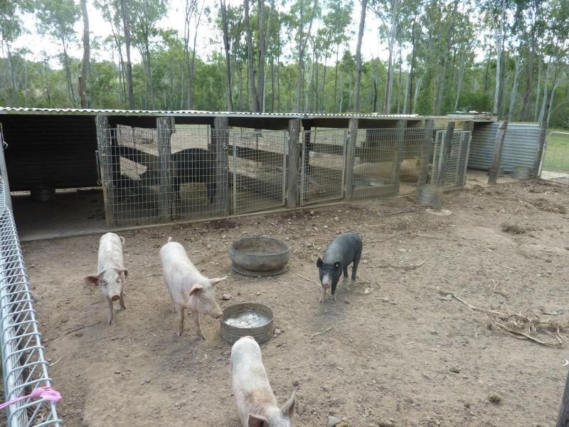 102 Platypus Drive, South Kolan QLD 4670