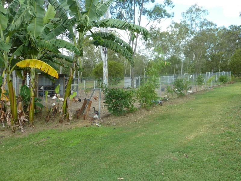 102 Platypus Drive, South Kolan QLD 4670