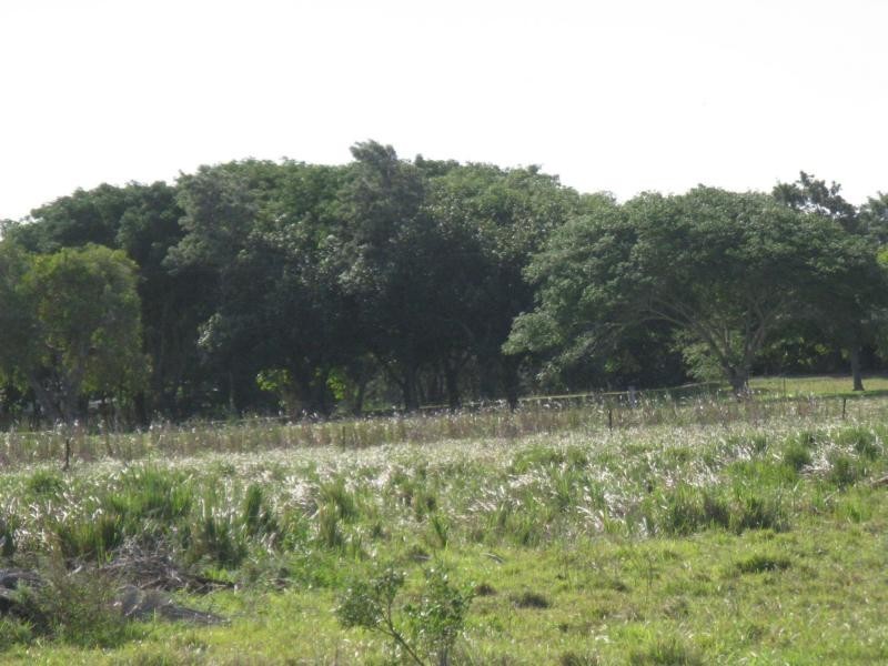 Burnett Heads QLD 4670