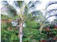 Coonarr QLD 4670