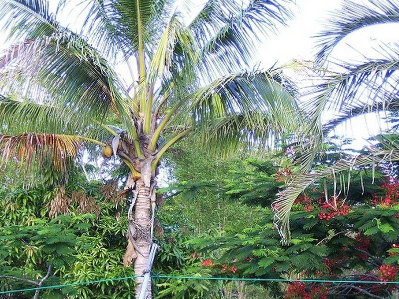 Coonarr QLD 4670