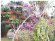 Coonarr QLD 4670