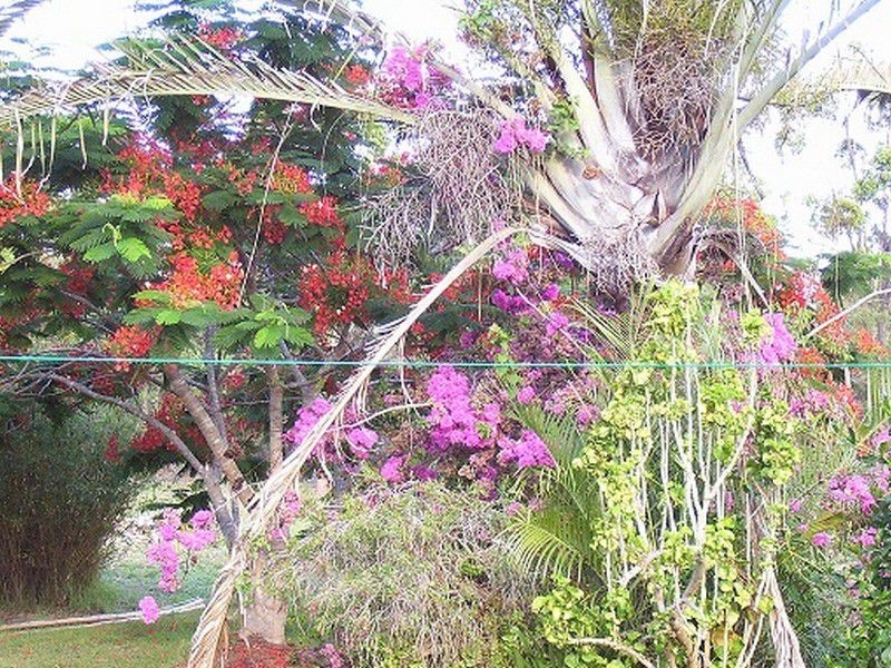 Coonarr QLD 4670