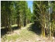 Coonarr QLD 4670