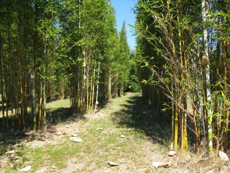 Coonarr QLD 4670