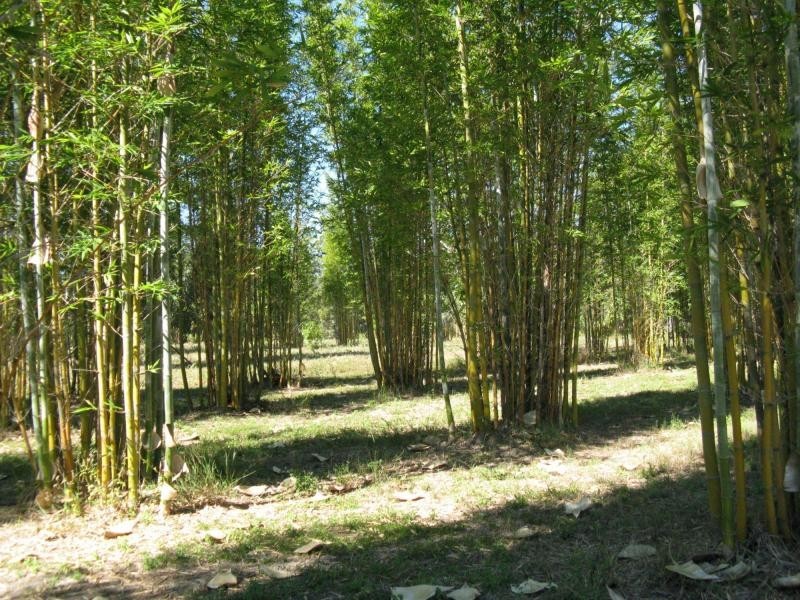 Coonarr QLD 4670