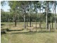 Tirroan QLD 4671