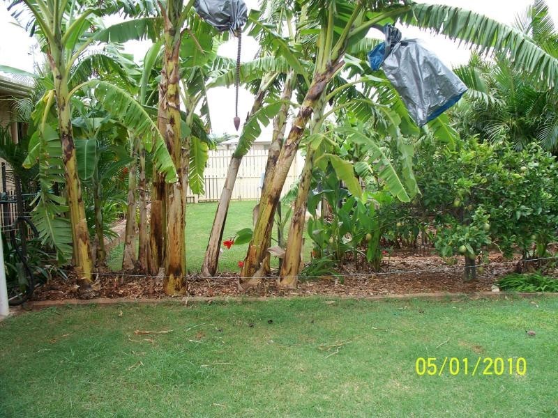 10 Homestead Boulevard, Coral Cove QLD 4670