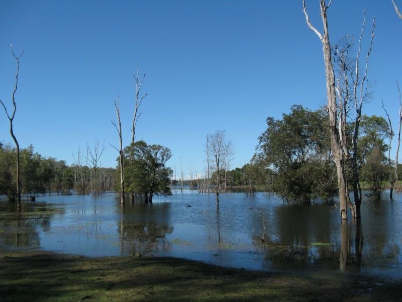 Lowmead QLD 4676
