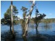 Lowmead QLD 4676