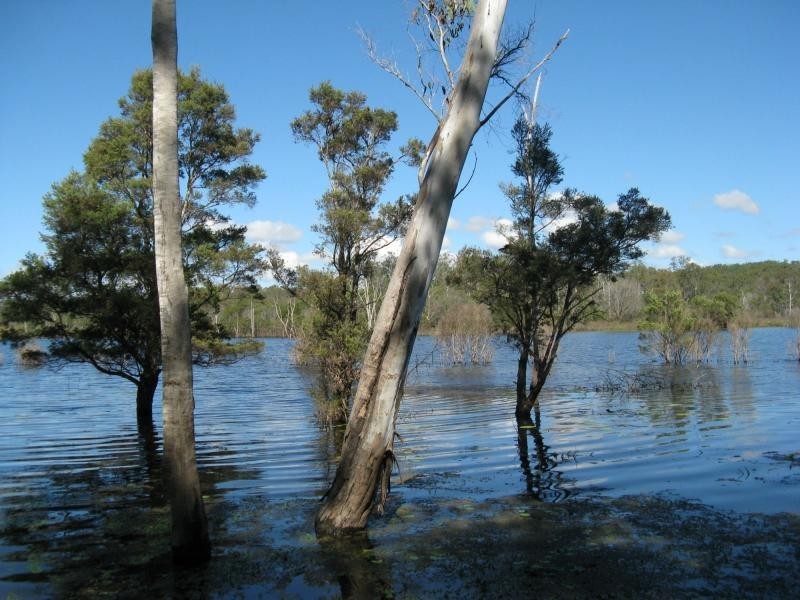 Lowmead QLD 4676