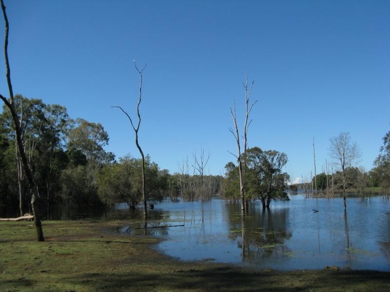 Lowmead QLD 4676