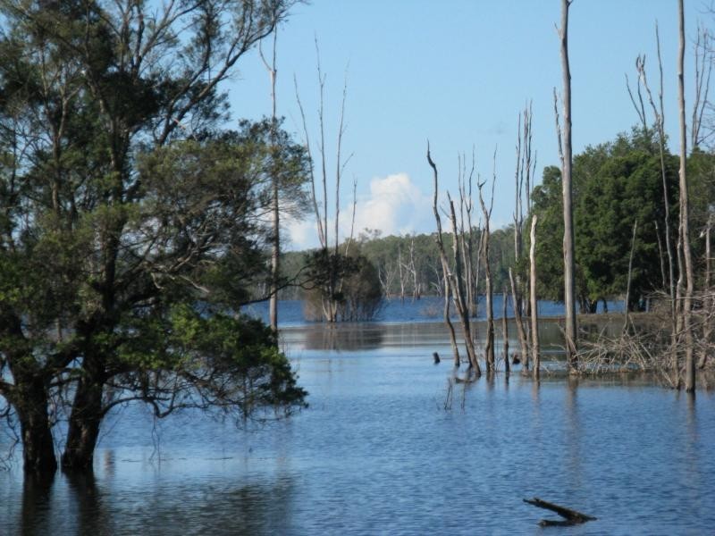 Lowmead QLD 4676