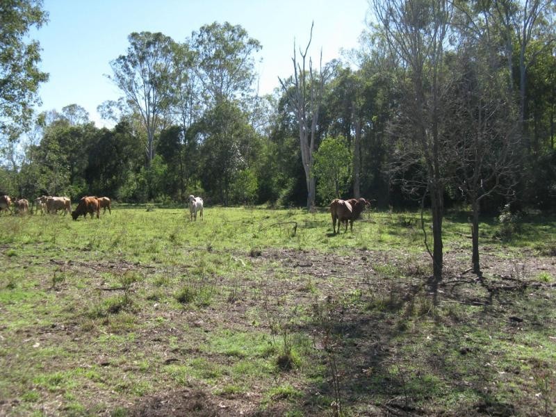 Lowmead QLD 4676