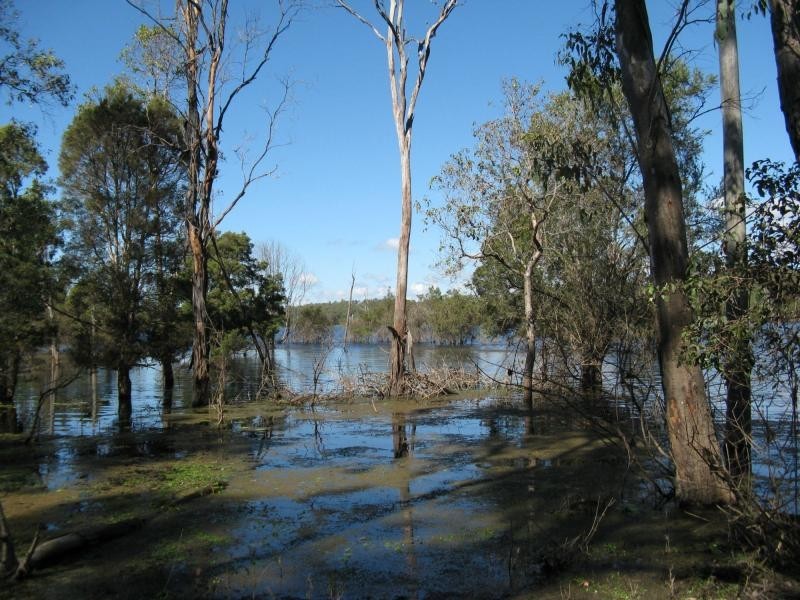 Lowmead QLD 4676